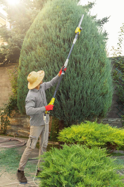 Best Fruit Tree Pruning  in Argos, IN